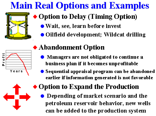 real options valuation examples