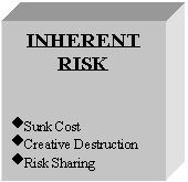 Text Box: INHERENT
RISK

�Sunk Cost
�Creative Destruction
�Risk Sharing
