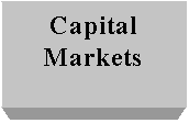 Text Box: Capital
Markets

