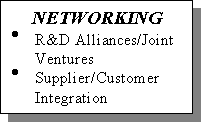 Text Box: NETWORKING
�	R&D Alliances/Joint Ventures
�	Supplier/Customer Integration
