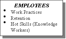 Text Box: EMPLOYEES
�	Work Practices
�	Retention
�	Hot Skills (Knowledge Workers)
